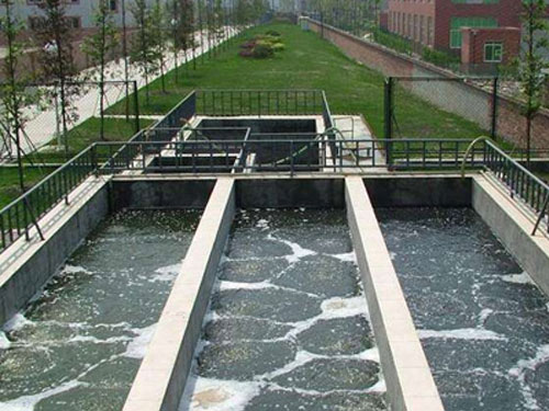 ����ĳ��ˮ������